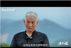 胡不群：人应该向内求，回归到生命的本来，做到专注当下！