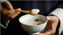 曾恩锦｜春起风生，万物向荣——顺时而养，春日养生有道