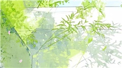 渔父节气｜大暑正盛：荷风蝉响，遁而不争，极美之夏，终将退场……