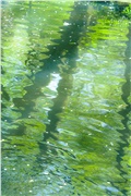 渔父节气｜立春：风至而生，春已起笔；万物偕时而行