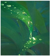 渔父节气｜寒露：露凝秋深，风过叶疏；天地有寒暖，此心自清旷