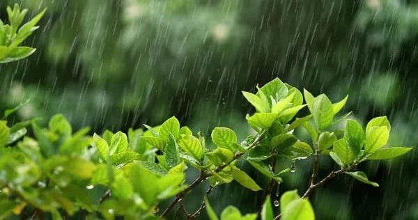 孙相如 | 春季多雨，谨防脾胃和感冒等季节性疾病高发