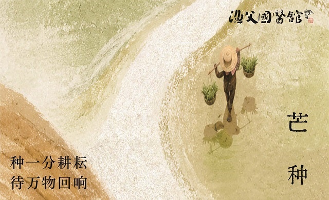 渔父新闻