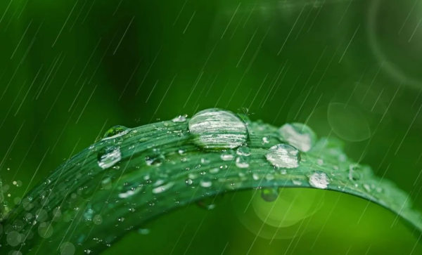 闵长检 | 高温多雨的季节，中医关键几招帮你内外除湿