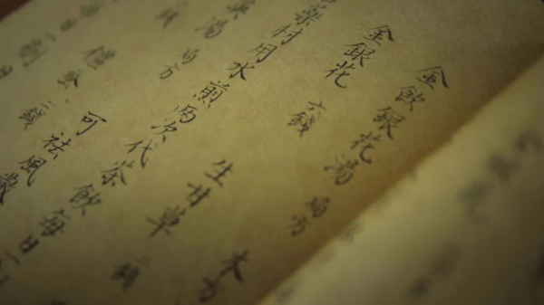  渔父国医馆明医 
