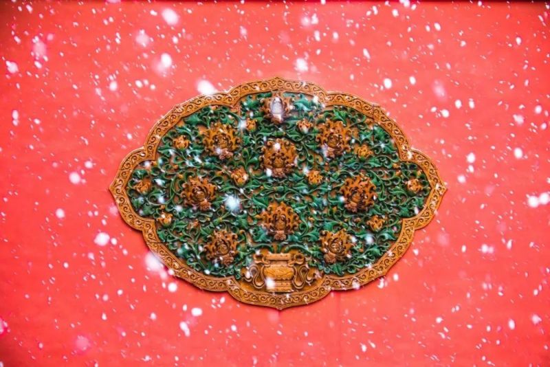 大雪|把自己“藏”起来，悄咪咪的一清、一润、一补、一泡……