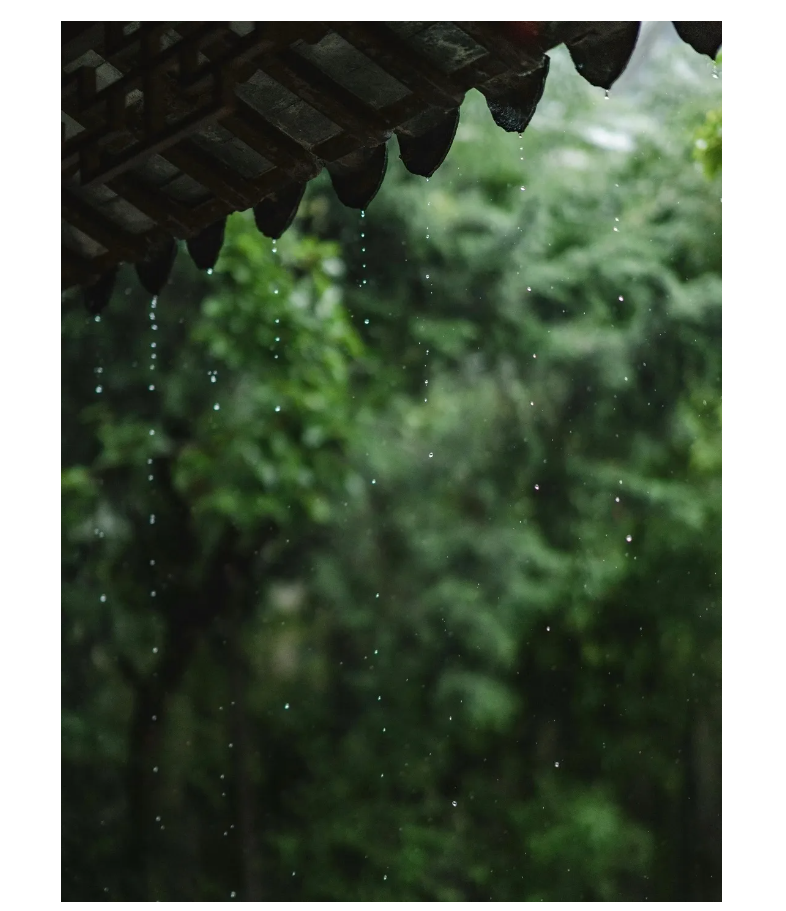 渔父观点｜雨太久了：长沙今年的春天，为什么让人越来越重